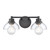 2-Light Vanity Fixture with Glass Dome Shade - 16" - Matte Black - IMAGE 2