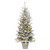 Pre-lit Potted Flocked Pine Medium Artificial Christmas Tree - 6’ - Clear Lights - IMAGE 1