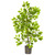 3' Artificial Ficus Potted Tree - IMAGE 1