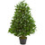3' Bay Leaf Artificial Topiary Tree - IMAGE 1