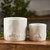 Farm Animal Glazed Ceramic Planters - 6" - White - Set of 2 - IMAGE 2