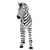 35.5" Zairen the Zebra Outdoor Garden Statue - IMAGE 4
