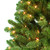Pre-Lit Virginia Pine Medium Artificial Christmas Tree - 6’ - Clear Lights - IMAGE 3