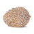 Carved Pinecone Christmas Tabletop Decorations - 5.25" - Brown - Set of 2 - IMAGE 2