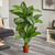 5' Artificial Dieffenbachia Silk Plant in Brown Pot - IMAGE 3
