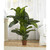 5' Artificial Dieffenbachia Silk Plant in Brown Pot - IMAGE 4