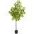 5' Artificial Lemon Tree in Black Pot - IMAGE 1