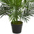 3' Artificial Paradise Palm Tree with Black Pot - IMAGE 5