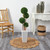 4' Artificial Boxwood Four Canopies Topiary Tree in Planter - IMAGE 4
