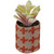 Artificial Pastel Succulent in Burlap Bag - 4.75" - IMAGE 3