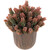 Two-Tone Wild Flower Artificial Plant in a Textured Lined Pot - 8" - IMAGE 3