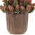 Two-Tone Wild Flower Artificial Plant in a Textured Lined Pot - 8" - IMAGE 4