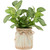Reticulated Artificial Spring Foliage in Ceramic Pot - 8" - IMAGE 1