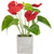 Anthurium Spring Floral Artificial Plant in a Square Pot - 12" - Red - IMAGE 1