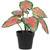 8" Rohdea Spring Floral Artificial Potted Plant - IMAGE 1
