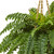 33" Boston Fern Hanging Artificial Basket - IMAGE 4