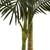 5' Golden Cane Artificial Potted Palm Tree - IMAGE 4