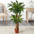 4' Artificial Corn Stalk Dracaena Silk Plant - IMAGE 2