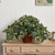 29" Puff Ivy Artificial Silk Plant with Brown Vase - IMAGE 2