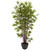 6' Artificial Bamboo Silk Tree in Black Planter - IMAGE 1
