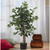 3' Artificial Silk Potted Ficus Tree - IMAGE 2