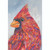 Blue and Red Bird Printed Rectangular Outdoor Garden Flag 18" x 13" - IMAGE 1