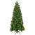 Pre-Lit Slim Washington Frasier Fir Christmas Tree - 6.5' - Dual Color LED Lights - IMAGE 2