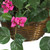 32" Artificial Silk Bougainvillea Plant with Hanging Basket - IMAGE 3