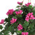 32" Artificial Silk Bougainvillea Plant with Hanging Basket - IMAGE 5