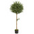 5' Olive Topiary Artificial Potted Tree - IMAGE 1