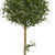 5' Olive Topiary Artificial Potted Tree - IMAGE 2