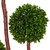 5' Artificial Boxwood Outdoor Tree in Black Pot - IMAGE 2