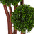 5' Artificial Boxwood Outdoor Tree in Black Pot - IMAGE 3