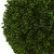 3.5' Artificial Boxwood Topiary Double Ball Outdoor Tree with Planter - IMAGE 4