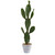 3' Artificial Cactus Plant in White Planter - IMAGE 1
