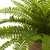 Set of 2 Boston Fern Artificial Plants with Burlap Planters 22" - IMAGE 3