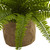 Set of 2 Boston Fern Artificial Plants with Burlap Planters 22" - IMAGE 4