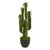 2.5' Artificial San Pedro Cactus Plant in Black Planter - IMAGE 1