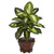 Set of 2 Artificial Dieffenbachia Silk Plants with Wood Vase 1.75' - IMAGE 2