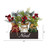 12" Mason Jar “Noel” Artificial Christmas Arrangement - IMAGE 5