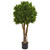 46" Boxwood Topiary UV Resistant Artificial Tree - IMAGE 1