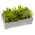 12.75" Succulent Artificial Garden in Decorative Planter - IMAGE 1