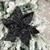 Glittered Poinsettia Christmas Floral Pick Clip-On Ornament - 10" - Black - IMAGE 2