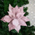 24" Pink Glittered Poinsettia Christmas Stem Spray - IMAGE 2