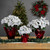 Artificial Christmas Poinsettia with Wrapped Base - 14.5" - White and Red - IMAGE 3