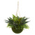 15" Agave and Maiden Hair Artificial Outdoor Plant in Hanging Basket - IMAGE 1