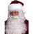 8" White Santa Claus Beard Wig and Eyebrows Christmas Unisex Adult Costume Accessory - One Size - IMAGE 1