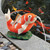 9.5" Kohaku Asian Koi Piped Spitter Outdoor Garden Statue - IMAGE 2
