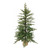 4’ Pre-Lit Pine Artificial Christmas Tree in Burlap Base - IMAGE 1
