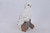 13" Snowy Owl on Stump Outdoor Garden Statue - IMAGE 2